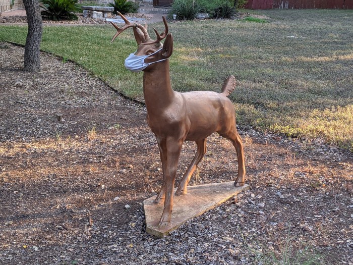 00000img_00000_burst20200806192846761_cover